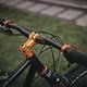 SingleBe - NoisyBee - Custom 29er