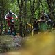 Hattie Harnden verlässt Trek