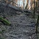 Lauf Zoller Horn