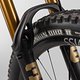 IZZO-29-CF-Core4-CraneGold 0008 w