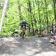 IMG 4995