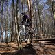 Bike Beerfelden P 288