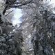 Foto0067