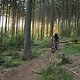 IMG 5090