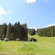 IMG 9777