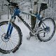 IMG 5611