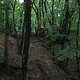 BIKETREFF 06 09 08 0330