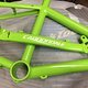 Cannondale Berserker Green: Original and Frame... good Match!