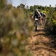 Jens Schuermans of team Bidon recup - Showpad during stage 4 of the 2021 Absa Cape Epic Mountain Bike stage race from Saronsberg in Tulbagh to CPUT in Wellington, South Africa on the 21th October 2021

Photo by Simon Pocock/Cape Epic

PLEASE ENSURE T