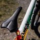 MTBNews
