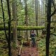 BC Squamish - Mark my Word