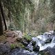 DSC00227