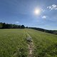 IMG 1549