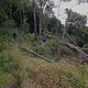 IMG 0994