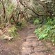 DSC04341