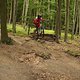 IMG 0137