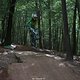 IMG 0930