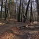 IMG 1794
