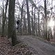 IMG 1460