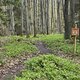 Die fünf Trails sind naturbelassen und sollen bestens für alle Könnerstufen geeignet sein.