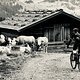 Ein zufälliges Treffen