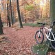 IMG 0354