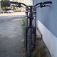 CIMG1981