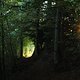 IMG 5448