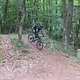IMG 6611