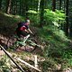 2015-05-06 Kreuzweghütte-Trail