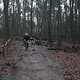 IMG 1226
