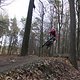 IMG 1481