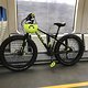 Bulls Monster in der Heidekrautbahn