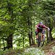 Kleine Sprungeinlagen im oberen Teil – der Soča Valley-Trail bot alle Bedingungen