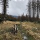 IMG 7996