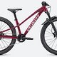 Specialized Riprock 24 Expert | 1600,00 € | 24″