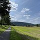 IMG 2085