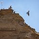 Szymon Godziek competes at Red Bull Rampage in Virgin, Utah, USA on October 12, 2024. // Paris Gore / Red Bull Content Pool // SI202410130009 // Usage for editorial use only //