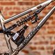 Scar Cycles-4