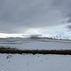 IMG 4569
