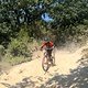 IMG 7782