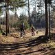 IMG 20250320 163931