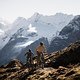 DA 0268 BIKE SS26 Vinschgau MaxDraeger MedRes