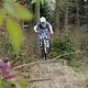 Woods...