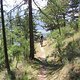 IMG 2667 12er nach Latsch