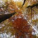 Herbst2K10Bild041