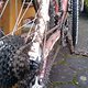 Dreckgeschmiert! 2