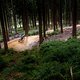 Der Erich Popp Trail schlängelt sich durch den Wald