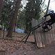 IMG 1272