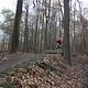 IMG 1498